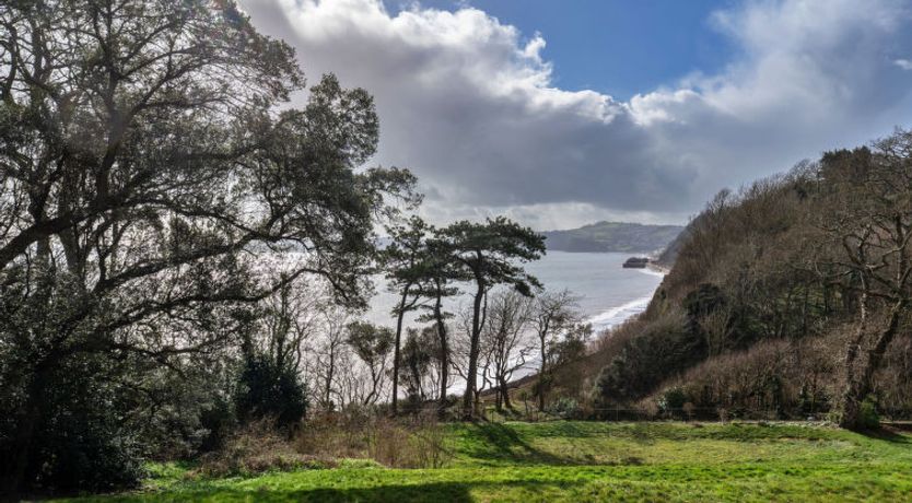 Photo of The Willows