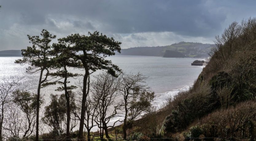 Photo of The Willows