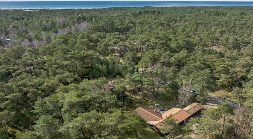 Photo of "Gaja" - 1km from the sea