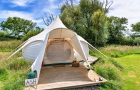 Photo of ash-lotus-belle-tent