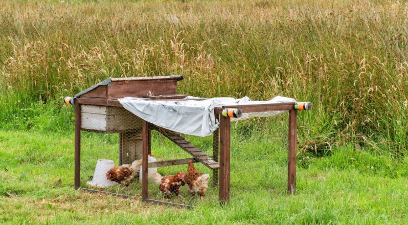 Photo of Ash Lotus Belle Tent