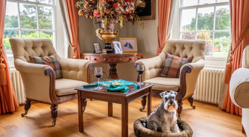 Photo of Historic Castle on River Tamar