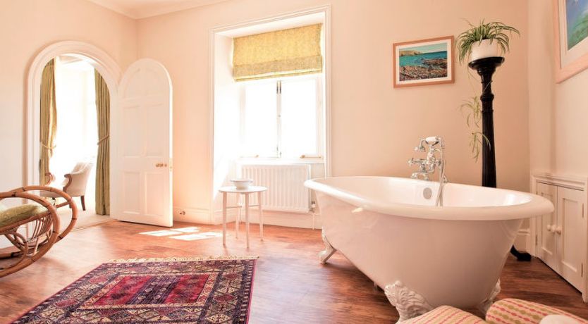 Photo of Historic Castle on River Tamar