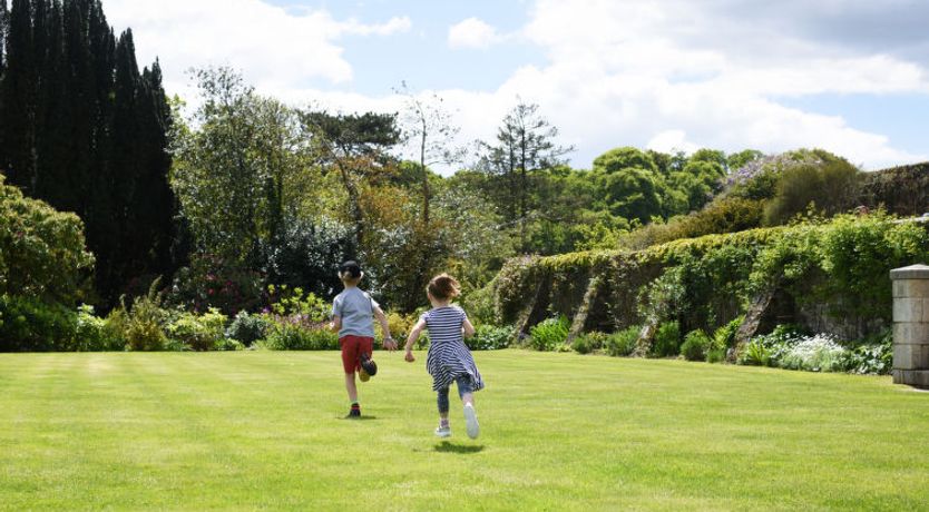 Photo of Historic Castle on River Tamar