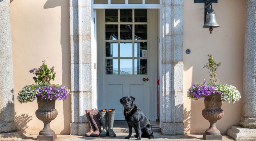 Photo of Historic Castle on River Tamar