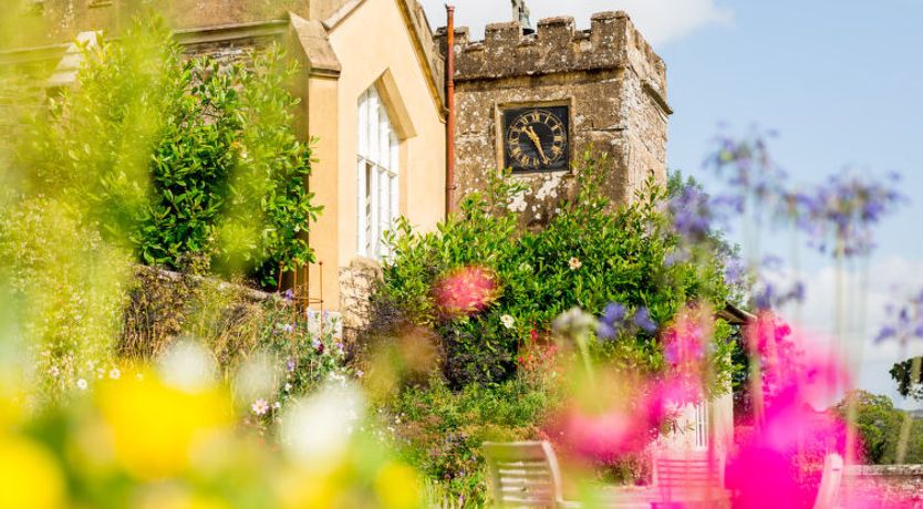 Photo of Historic Castle on River Tamar