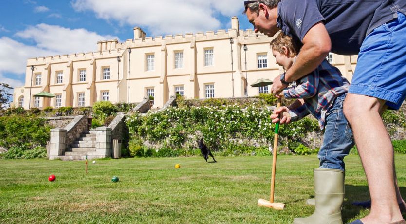 Photo of Historic Castle on River Tamar