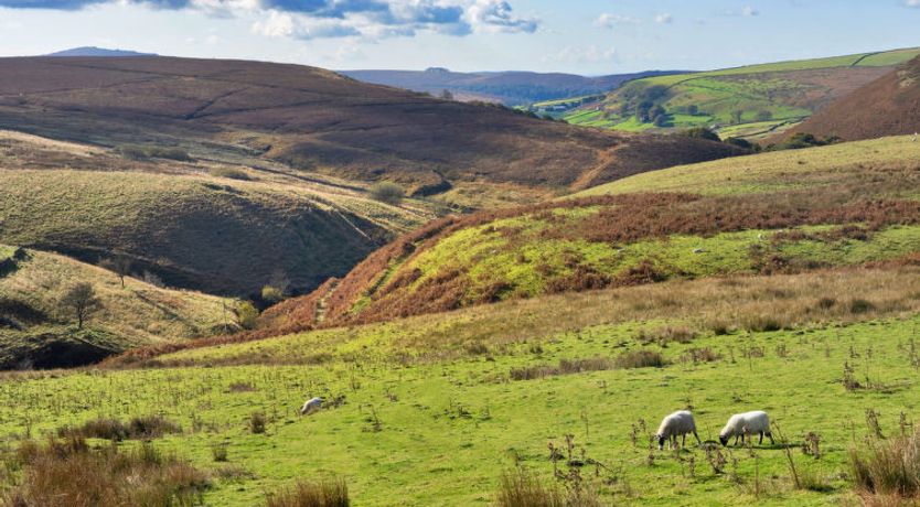 Photo of The Cottages Collection at Blackclough Farm