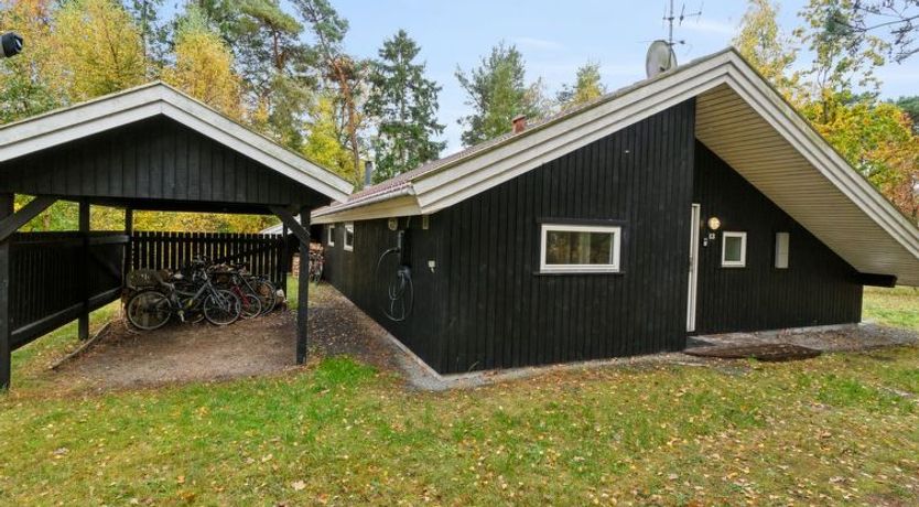 Photo of "Aimo" - 300m from the sea