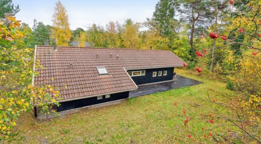 Photo of "Aimo" - 300m from the sea