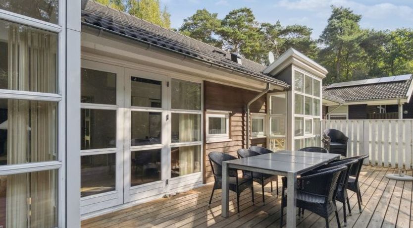 Photo of "Dorit" - 600m from the sea