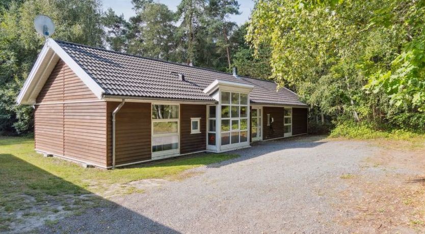 Photo of "Dorit" - 600m from the sea