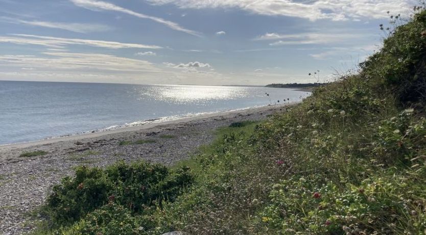 Photo of "Malte" - 75m from the sea