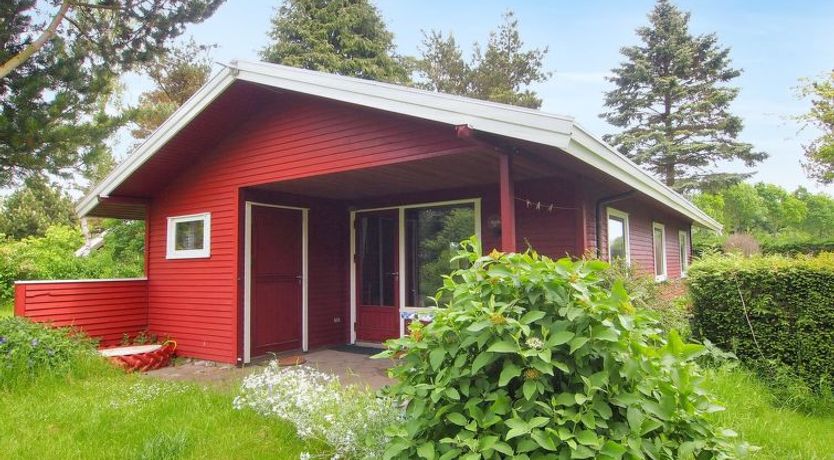 Photo of "Thing" - 200m from the sea