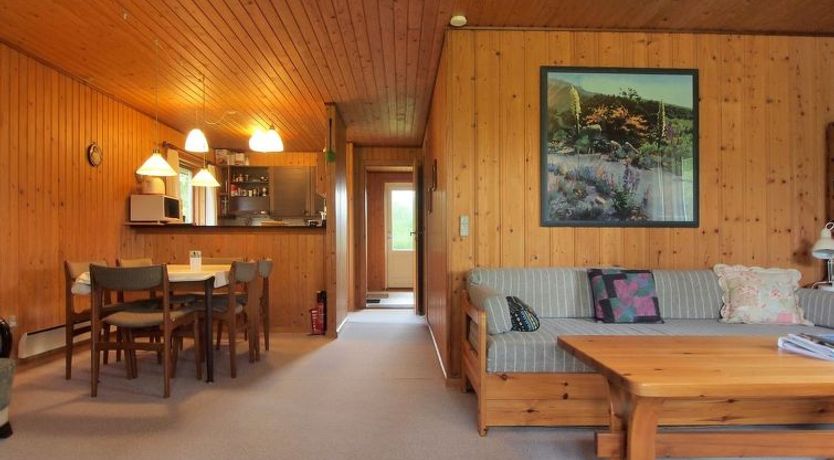 Photo of "Thing" - 200m from the sea