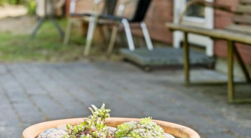 Photo of "Rieke" -  from the sea