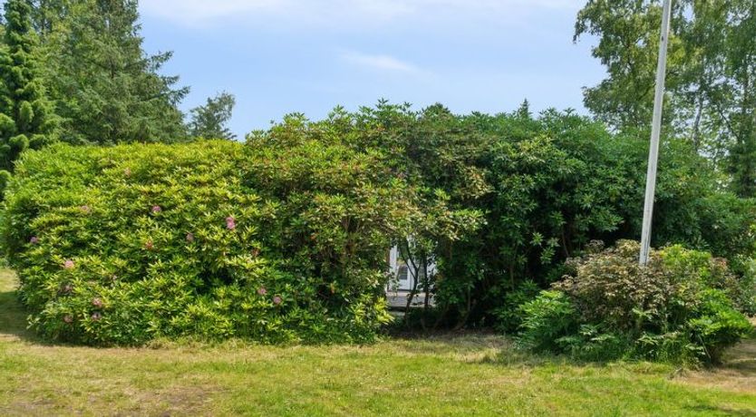 Photo of "Rieke" -  from the sea