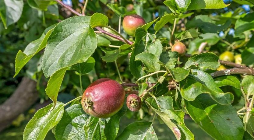 Photo of "Sampsa" - 75m from the sea