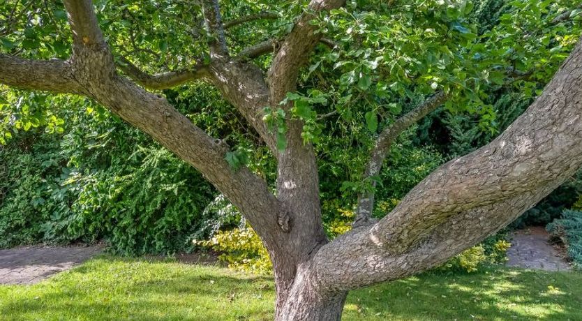 Photo of "Sampsa" - 75m from the sea