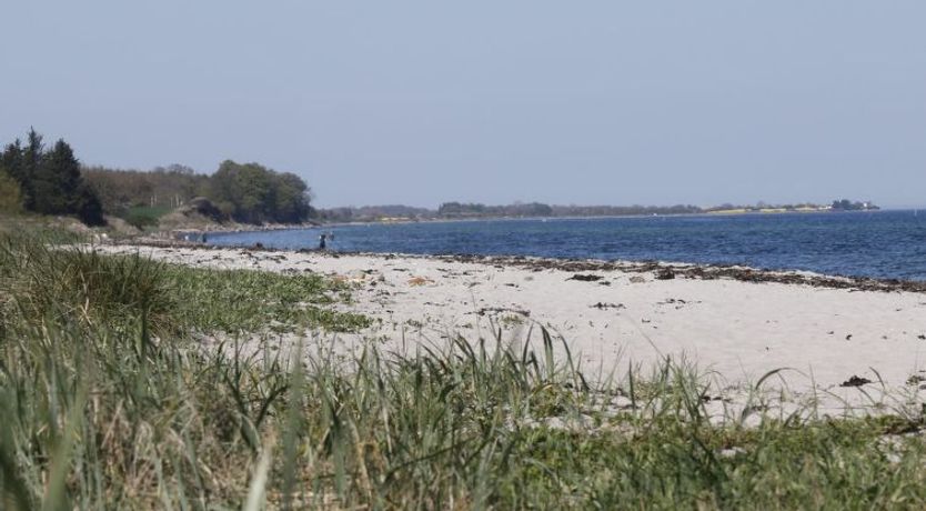 Photo of "Bridgette" - 100m from the sea