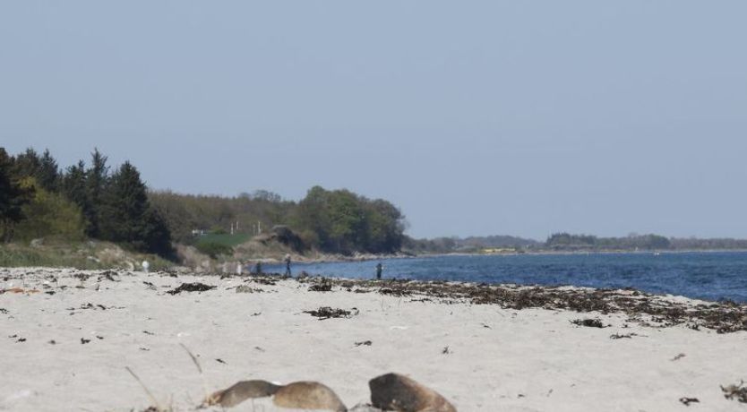 Photo of "Bridgette" - 100m from the sea