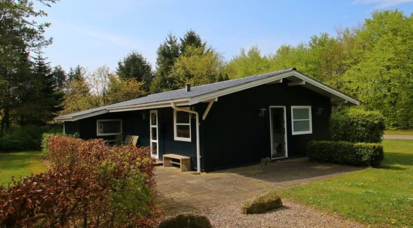 Photo of "Aki" - 30km from the sea