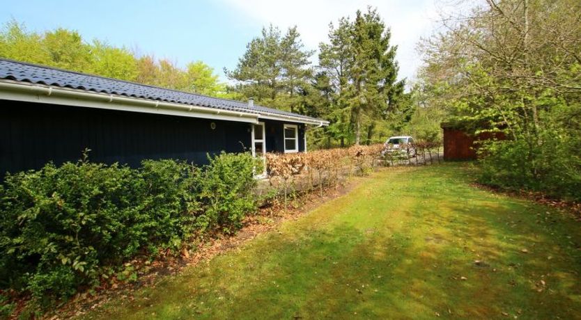 Photo of "Aki" - 30km from the sea