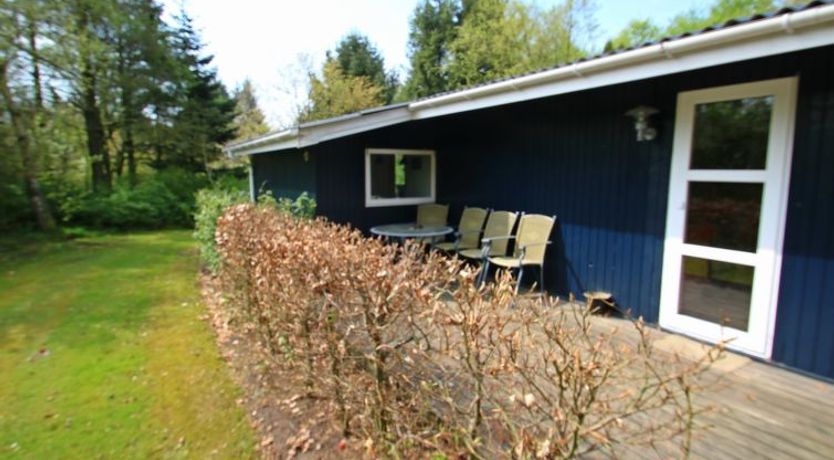 Photo of "Aki" - 30km from the sea