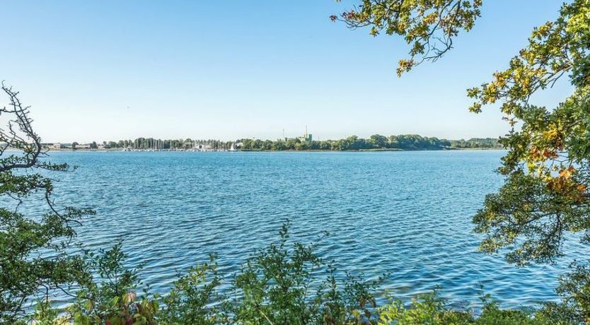 Photo of "Tamia" - 100m to the fjord