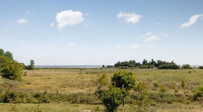 Photo of "Clare" - 4km from the sea