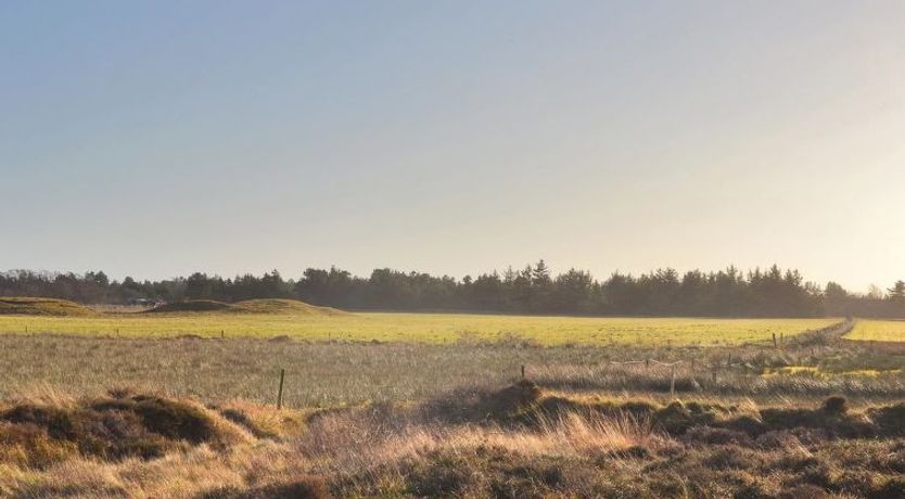 Photo of "Clare" - 4km from the sea