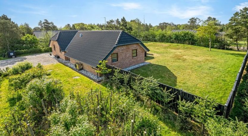 Photo of "Mico" - 500m from the sea