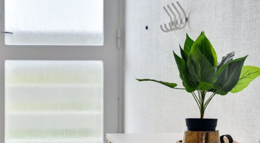 Photo of "Filine" - 200m from the sea