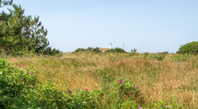 Photo of "Sine" - 500m from the sea