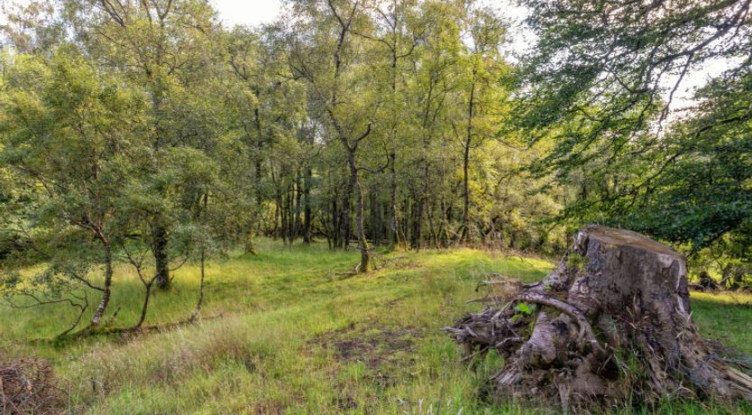 Photo of Glenquiech House