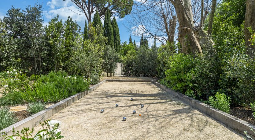 Photo of The Harmony of Nature