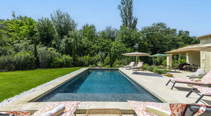 Photo of The Harmony of Nature