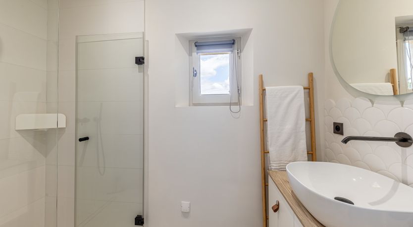 Photo of The Harmony of Nature