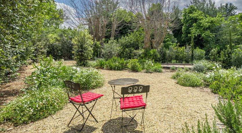 Photo of The Harmony of Nature