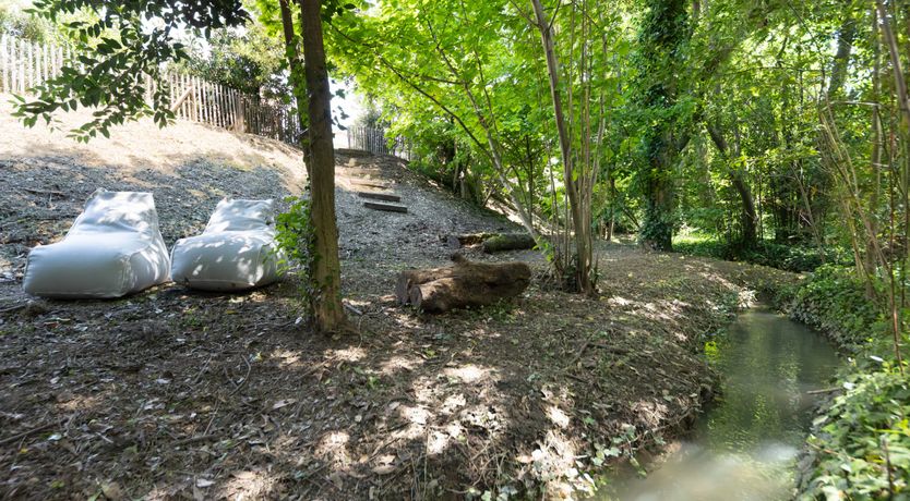 Photo of The Harmony of Nature