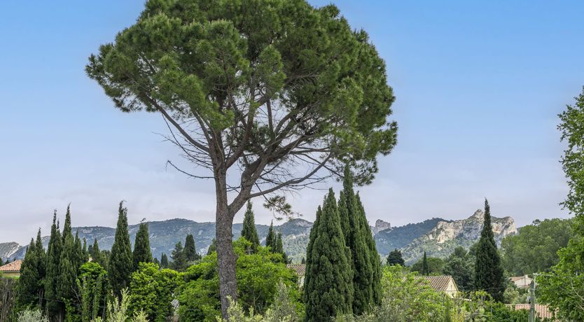 Photo of The Harmony of Nature