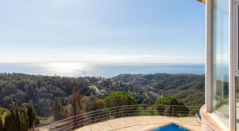 Photo of Joie de Vivre