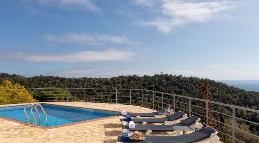 Photo of Joie de Vivre