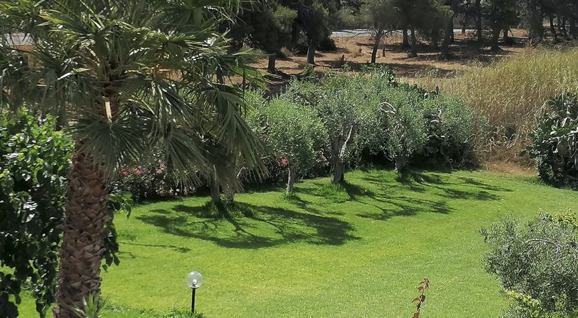 Photo of Romantic Moon