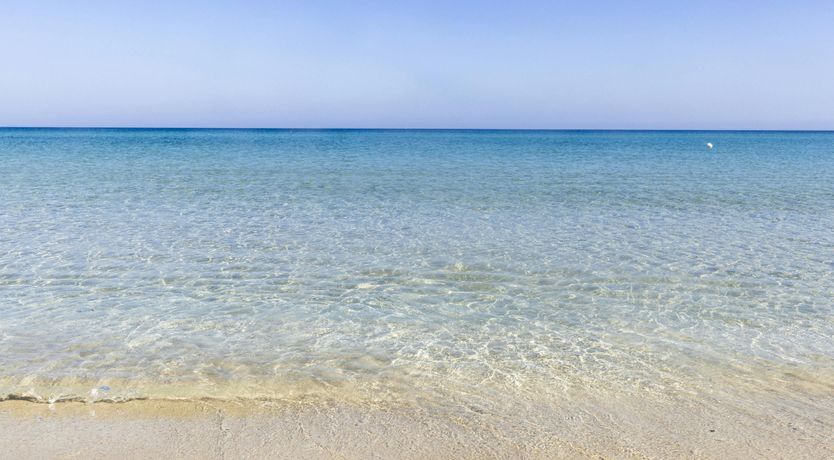 Photo of Romantic Moon