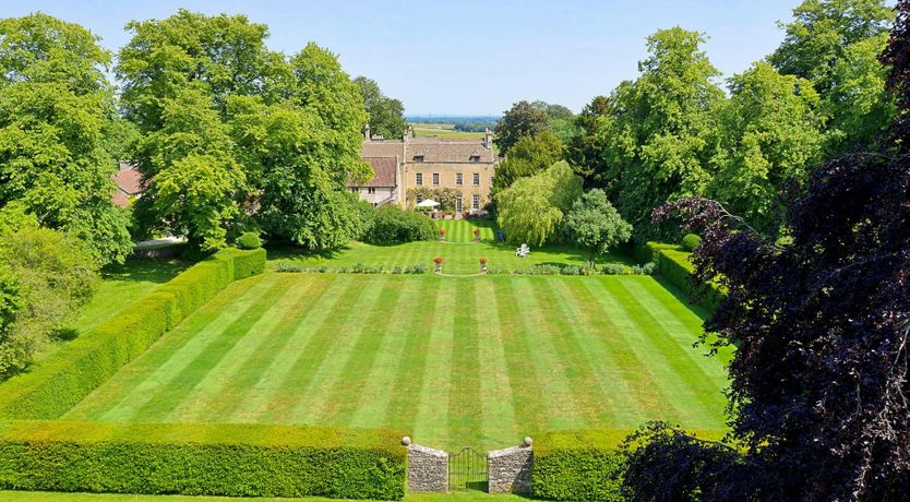 Photo of The English Flower