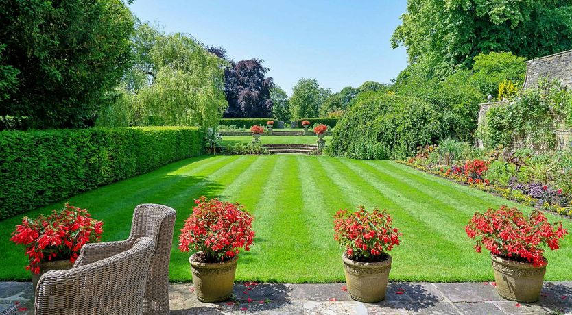 Photo of The English Flower