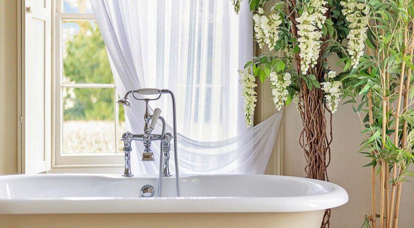 Photo of The English Flower