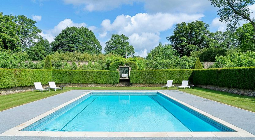 Photo of The English Flower