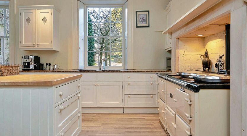 Photo of The English Flower